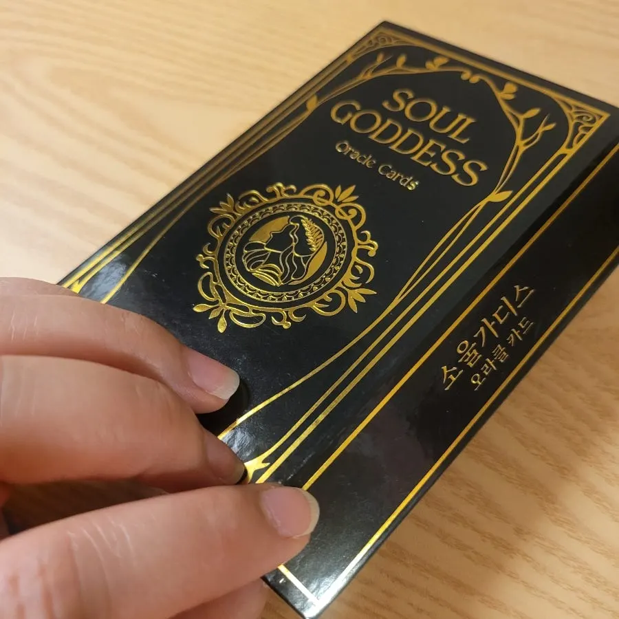 SoulTalk app features for beginners in destiny studies