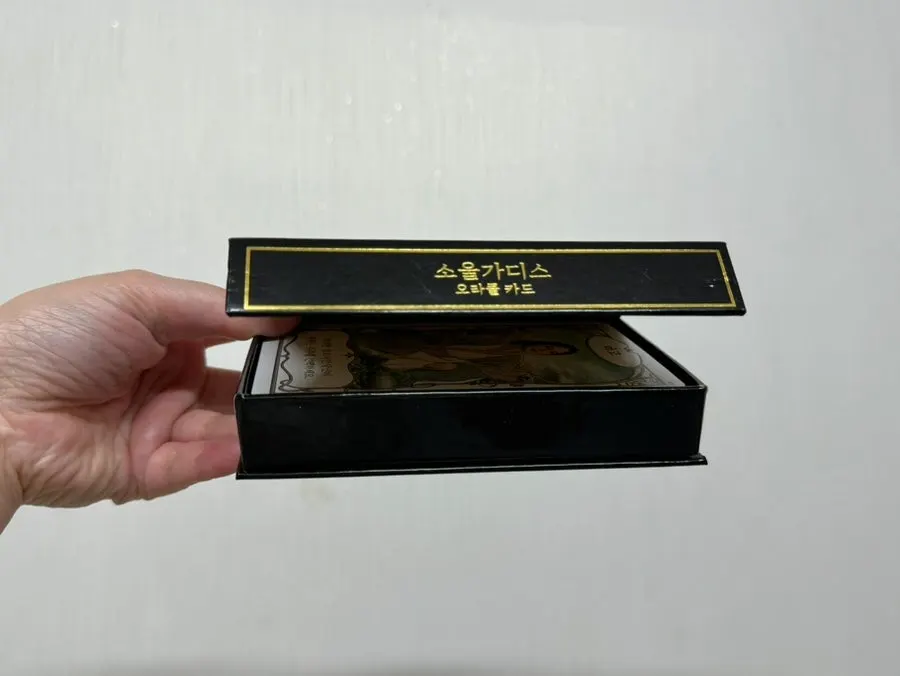 Magnetic oracle card storage case