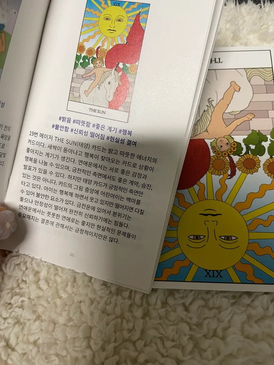 점심 카드의 컵 해석