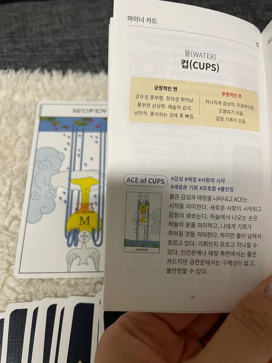 저녁 카드의 타로 해석
