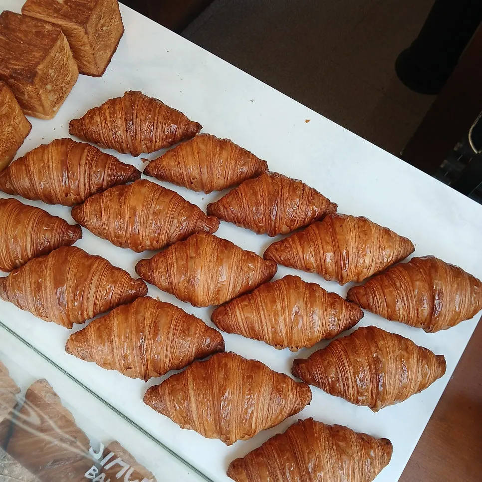 Looking over the bread display while deciding