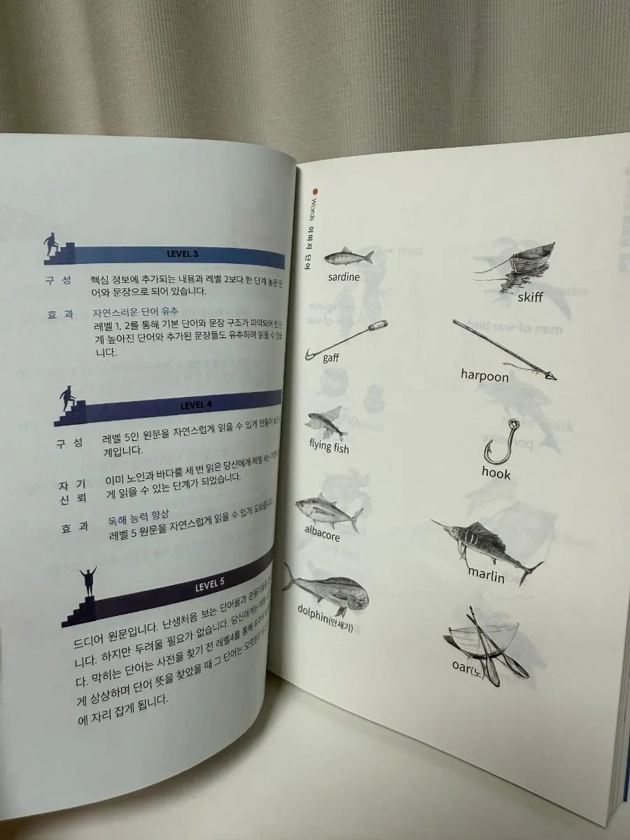Step-by-step English sentence learning book