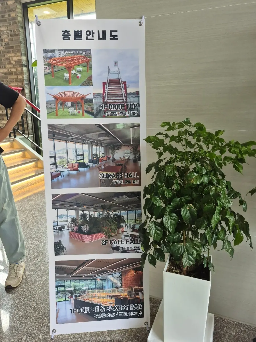 Café garden with colorfully changed plants and potted flowers