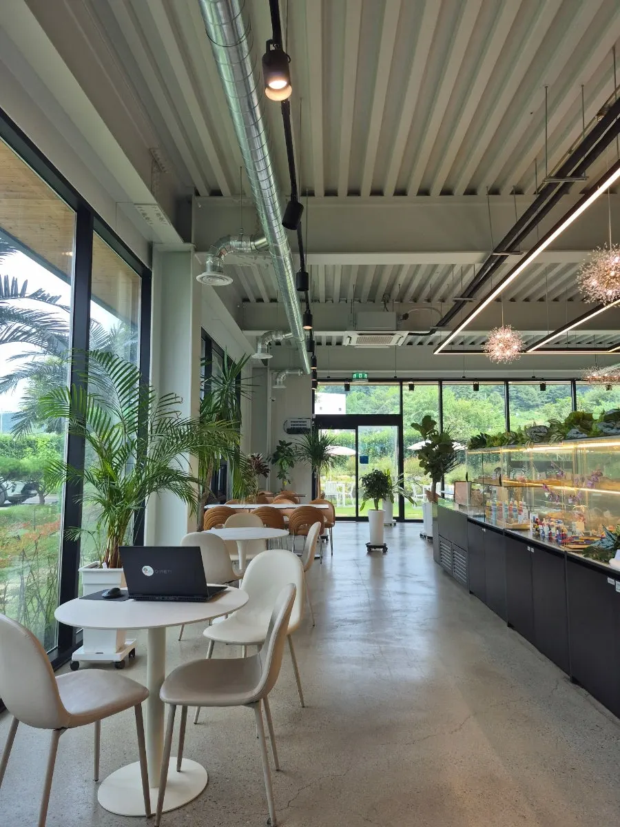 Outdoor garden view seen from the 1st floor