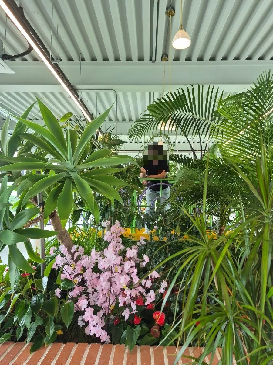 2nd floor indoor garden decorated with plants