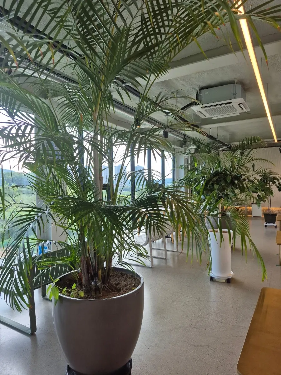 3rd floor seating with plants and large windows