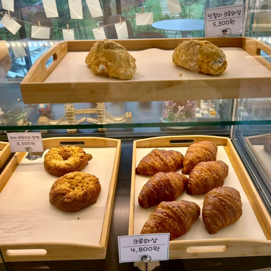 Cheesecake in the display case