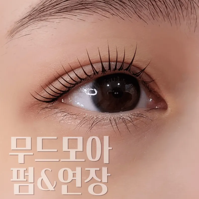 Moodmoa Lash & Brow, photo 1 of 3