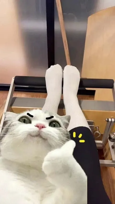 Queens Pilates 花井駅店 店舗写真 6/10