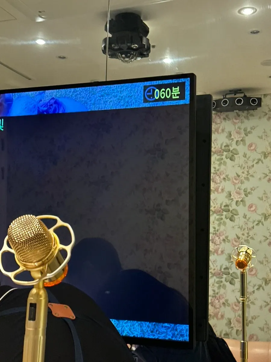 커버를 씌운 노래방 마이크