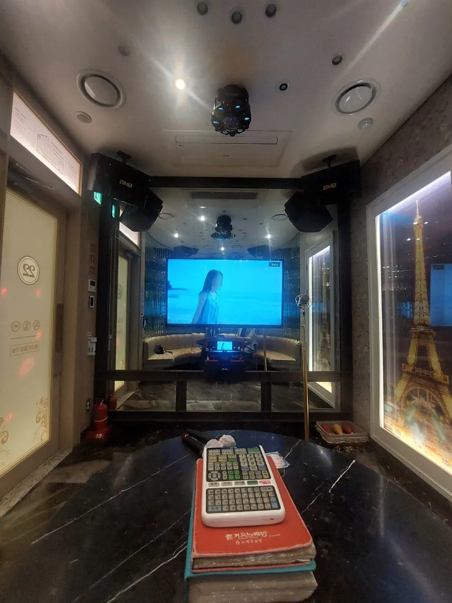 Karaoke screen and speaker