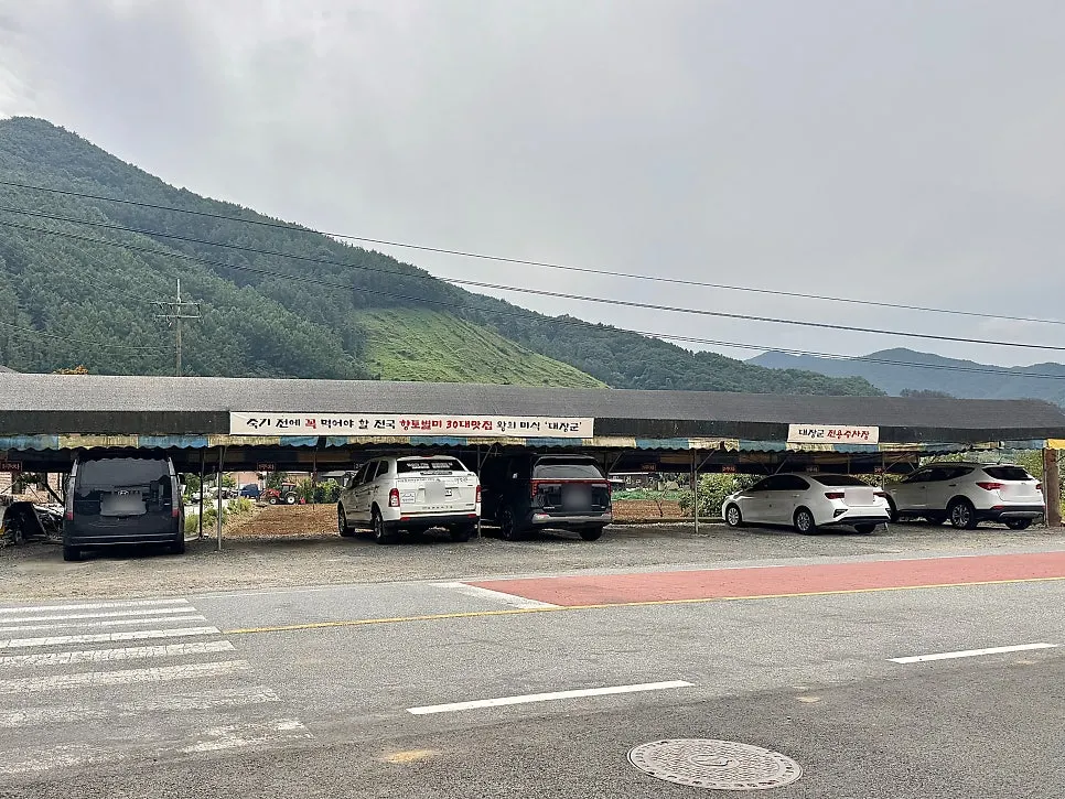 수안보대장군 건너편 전용 주차장