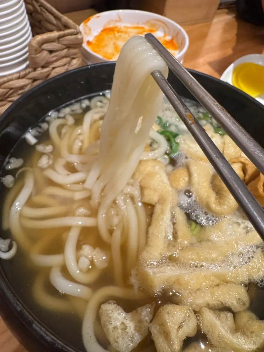 Lifting up a portion of udon noodles