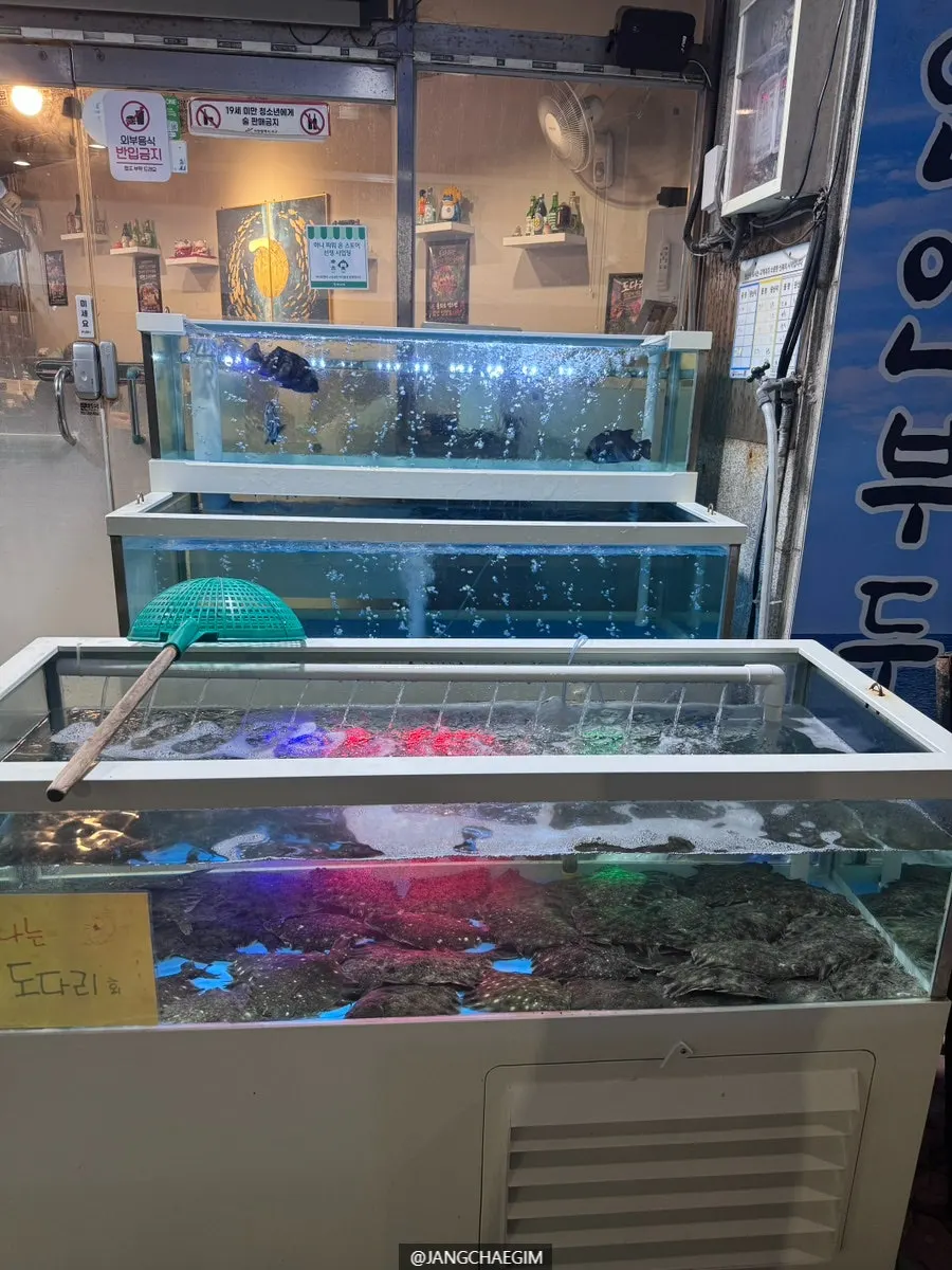 수족관 속 도다리와 제철 새우