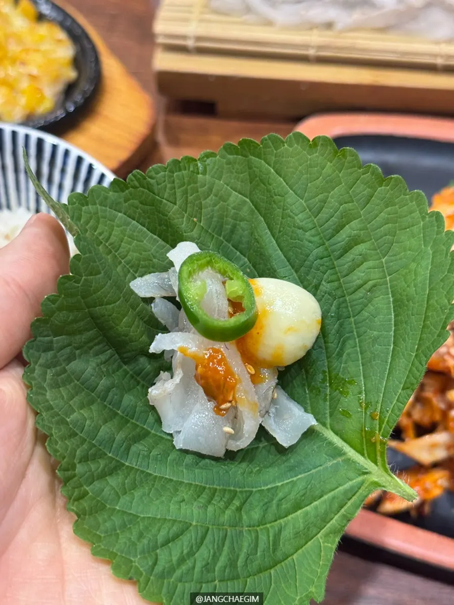 두툼하게 썰린 도다리회 클로즈업