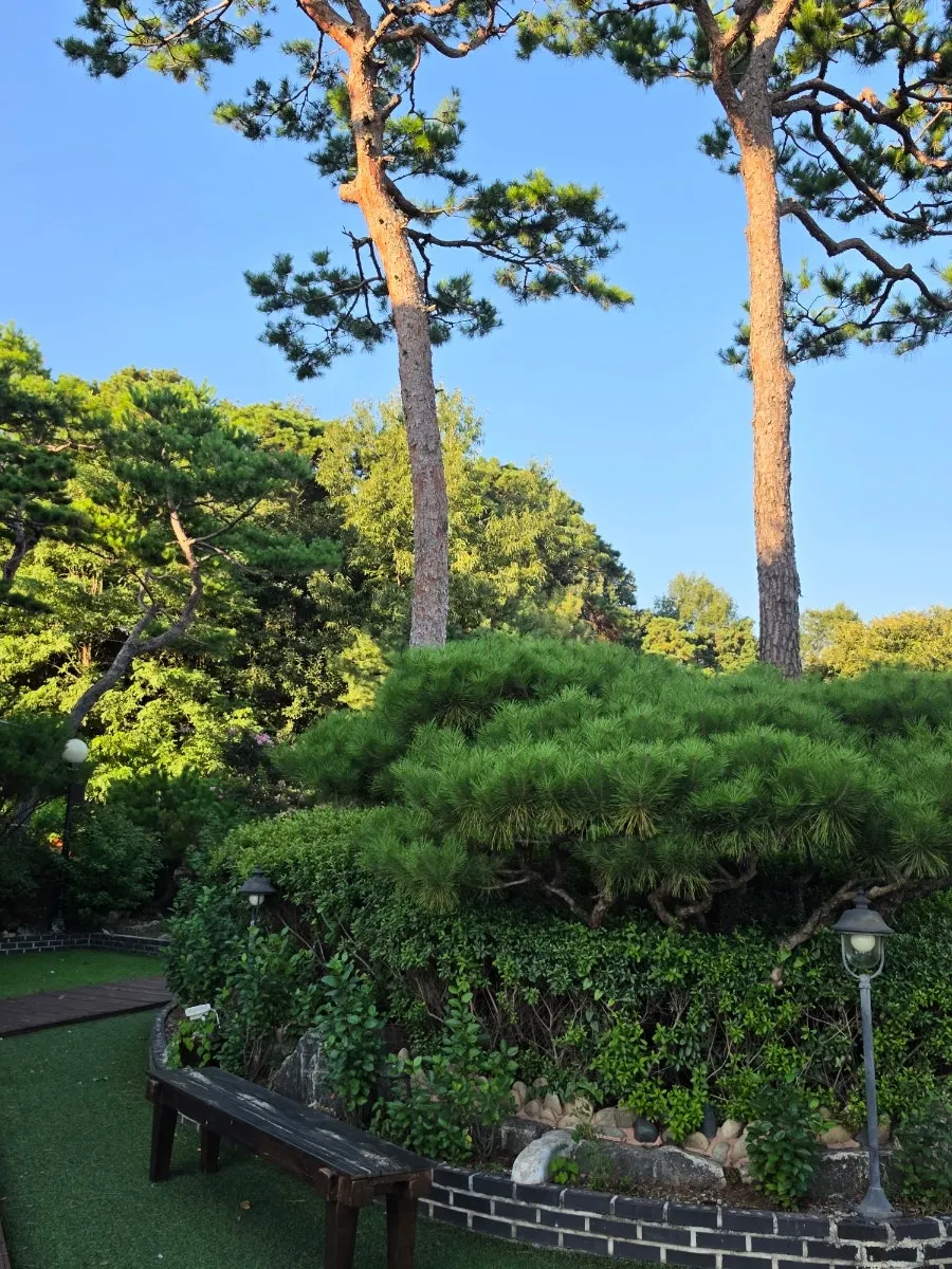 View of Suksudaega's hanok building and garden