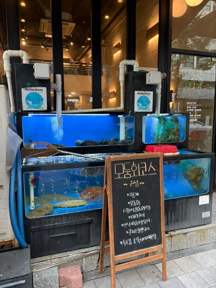해선 숙성회 코스요리 사진