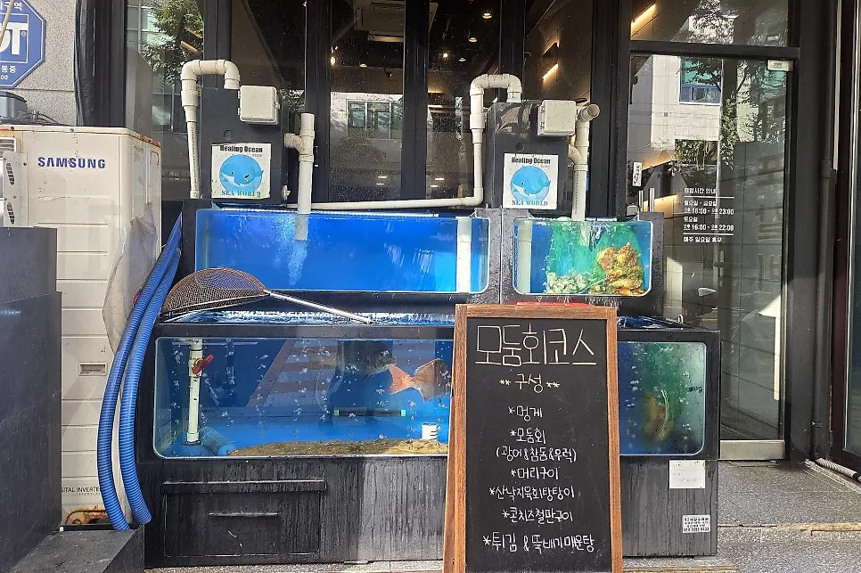 Haeseon's single aged sashimi course menu