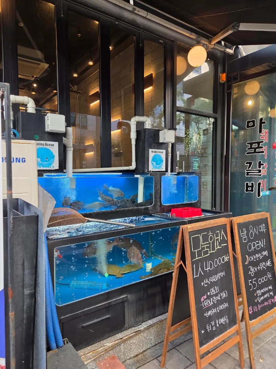 Haeseon outdoor fish tank