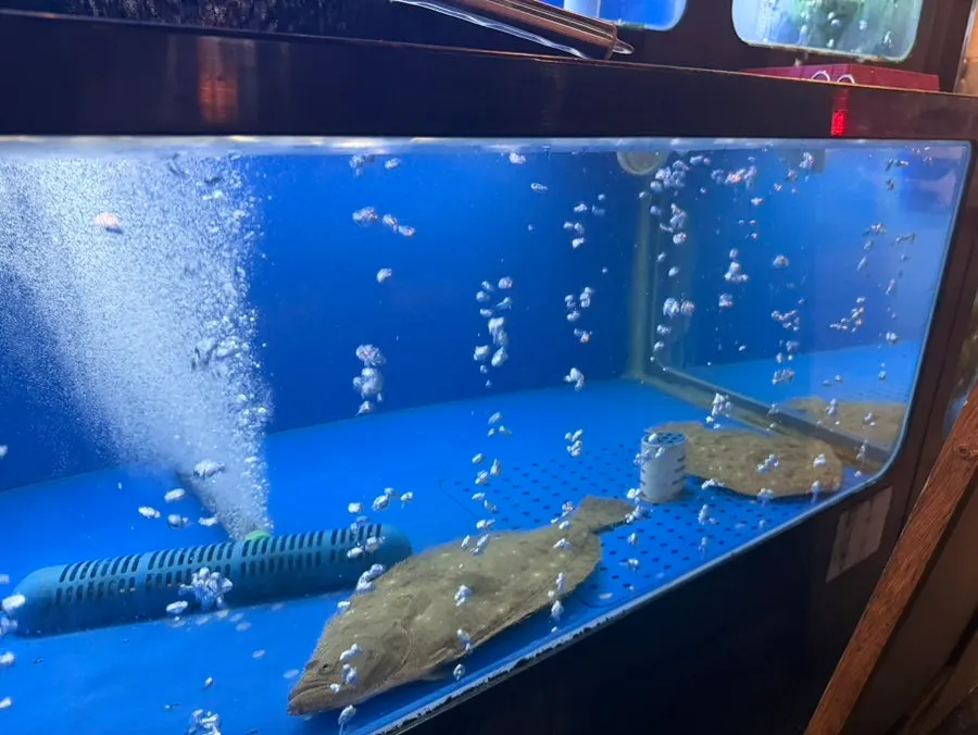 Clean fish tank at Haeseon