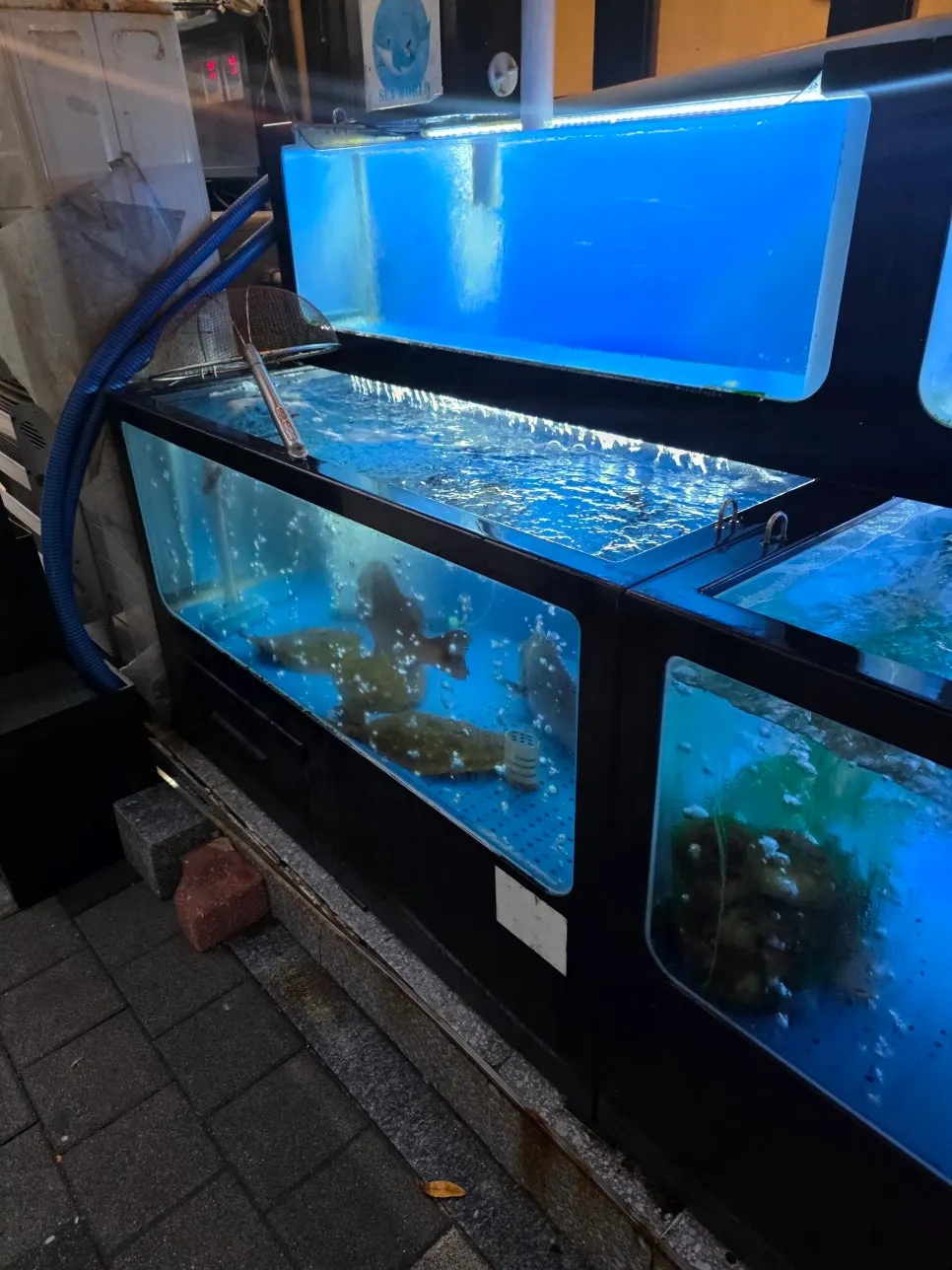 Fish tank and entrance in front of Haeseon