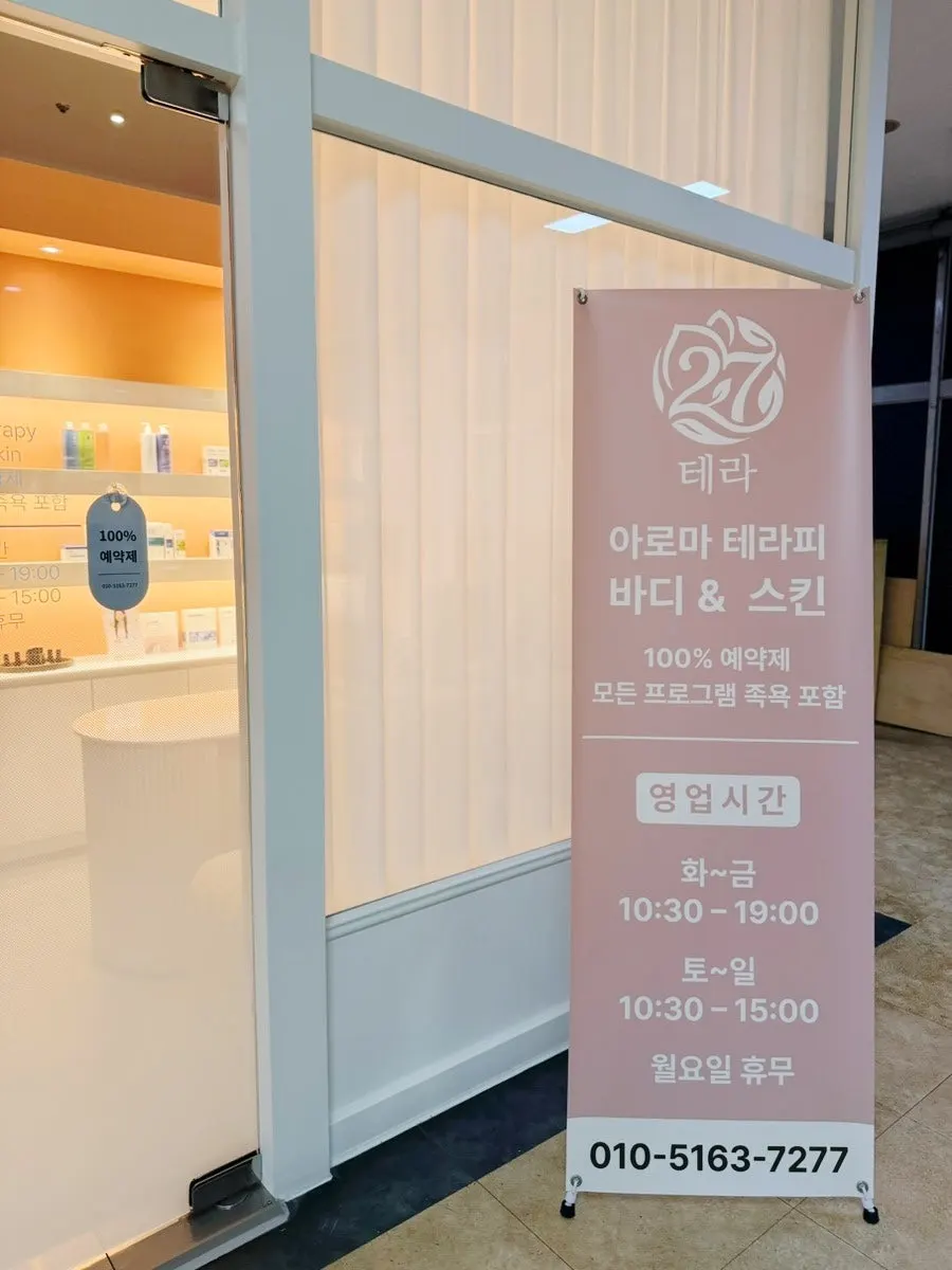 Arriving at Terra esthetic near Sunae Station