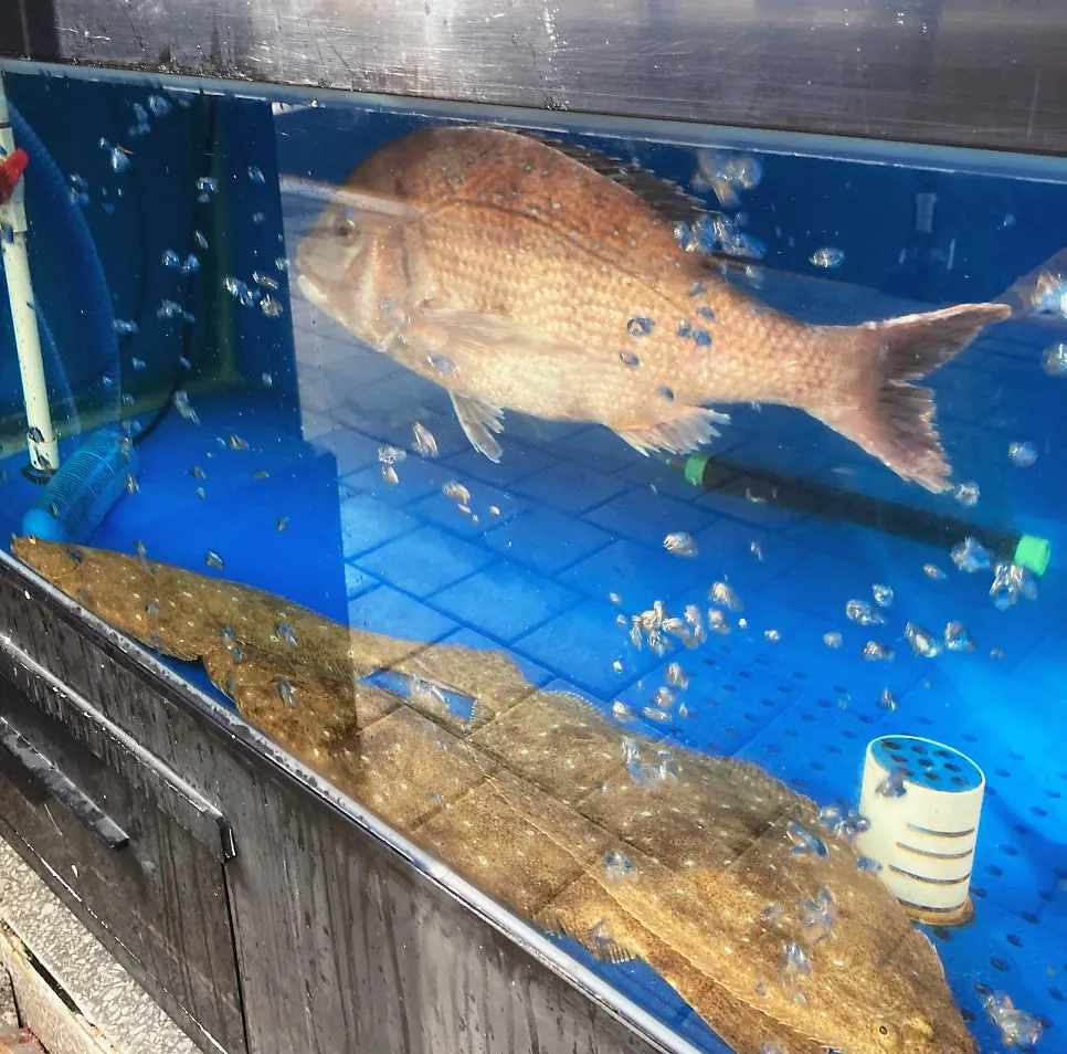 Haeseon fish tank and sashimi fish