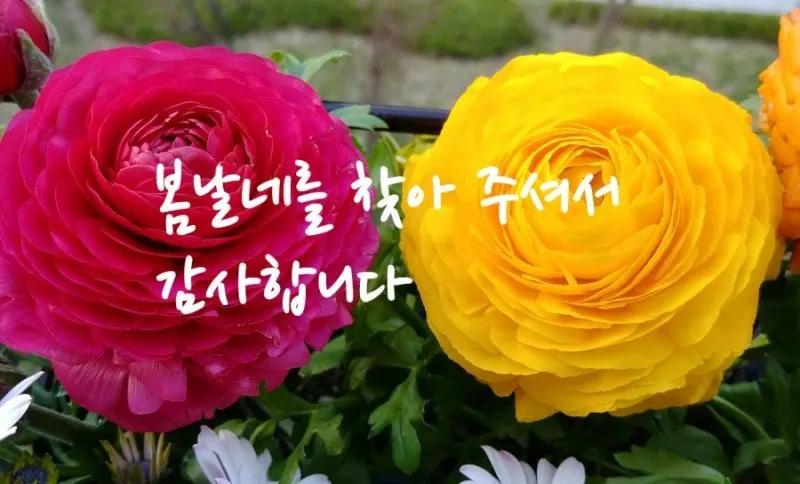 슈퍼멤버스 이용 안내 배너 이미지