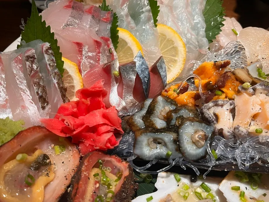 Close-up of scallop, abalone, sea squirt, and sea cucumber