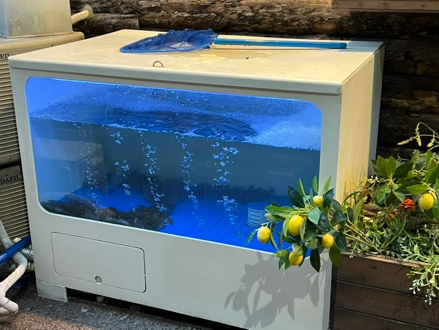 Live shrimp tank in front of the restaurant