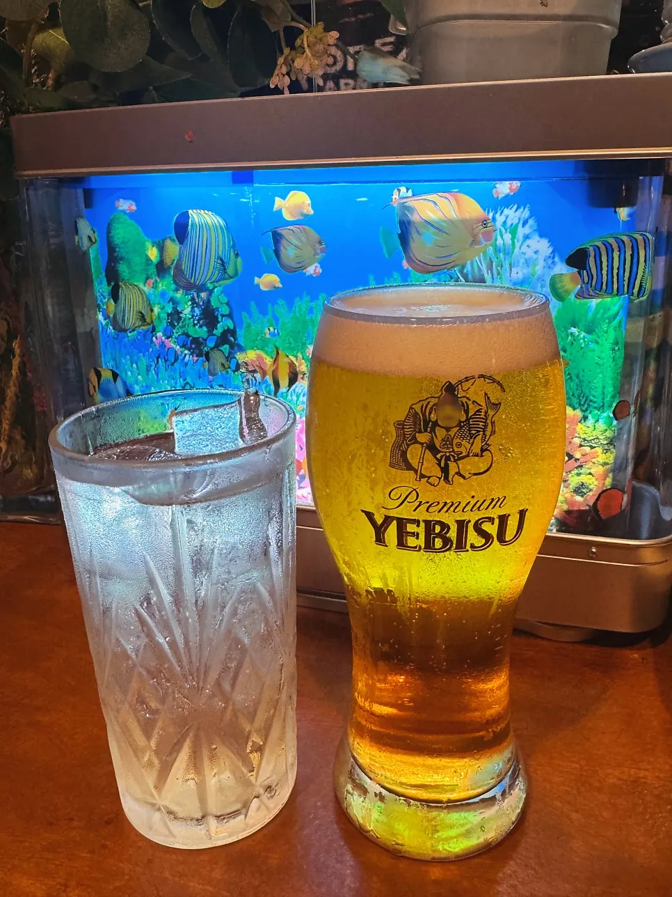 쇼맥과 매실하이볼 한 잔