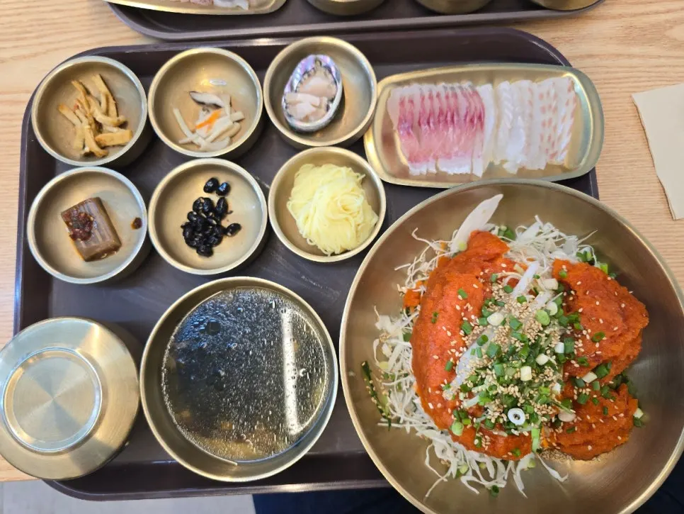 살얼음 육수의 반반 물회