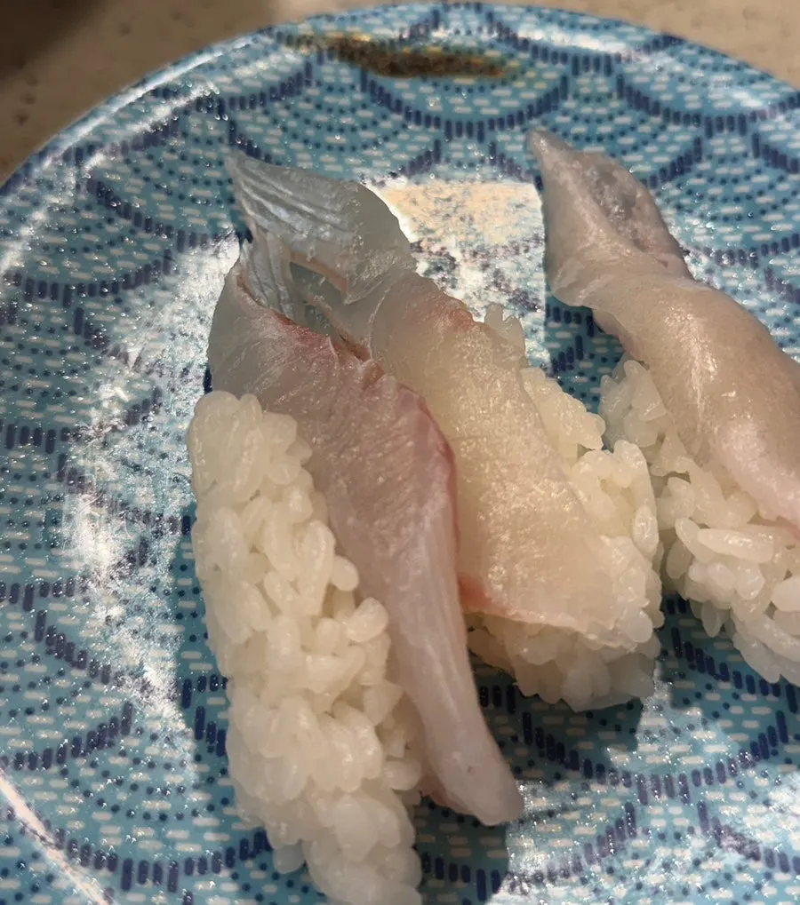 광어초밥 접시