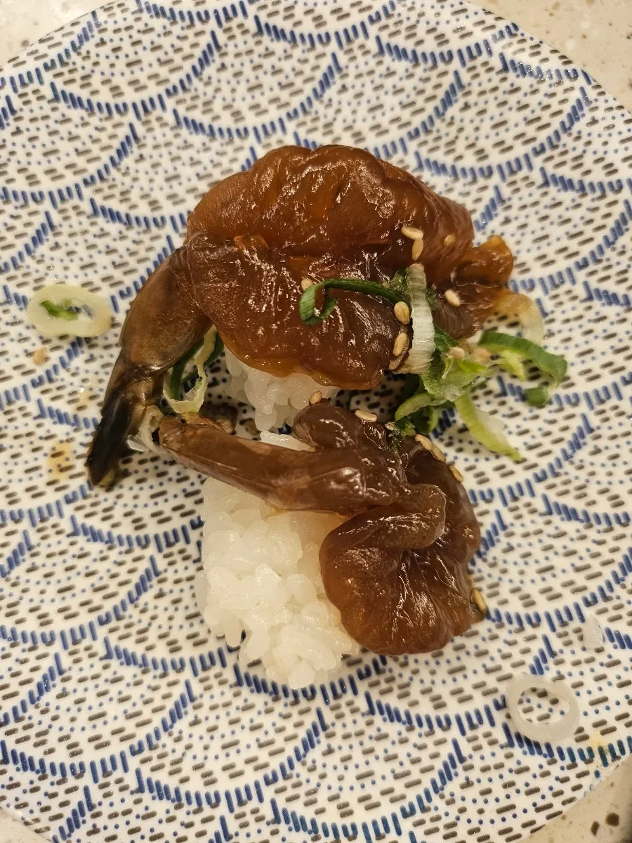 Close-up of egg shrimp nigiri