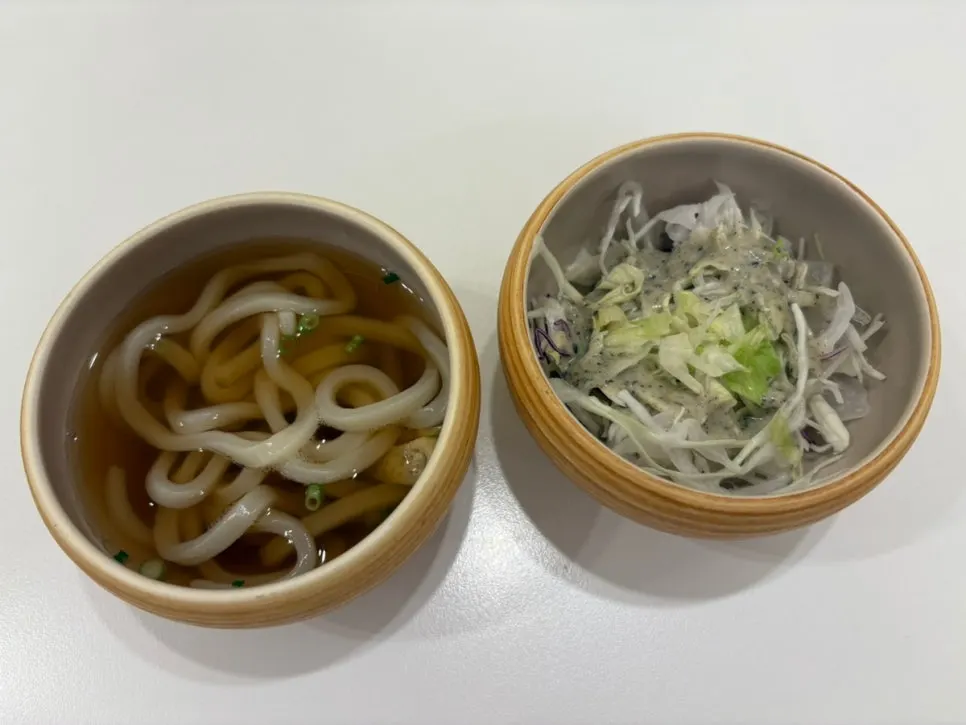 The mini udon and salad that came with the set