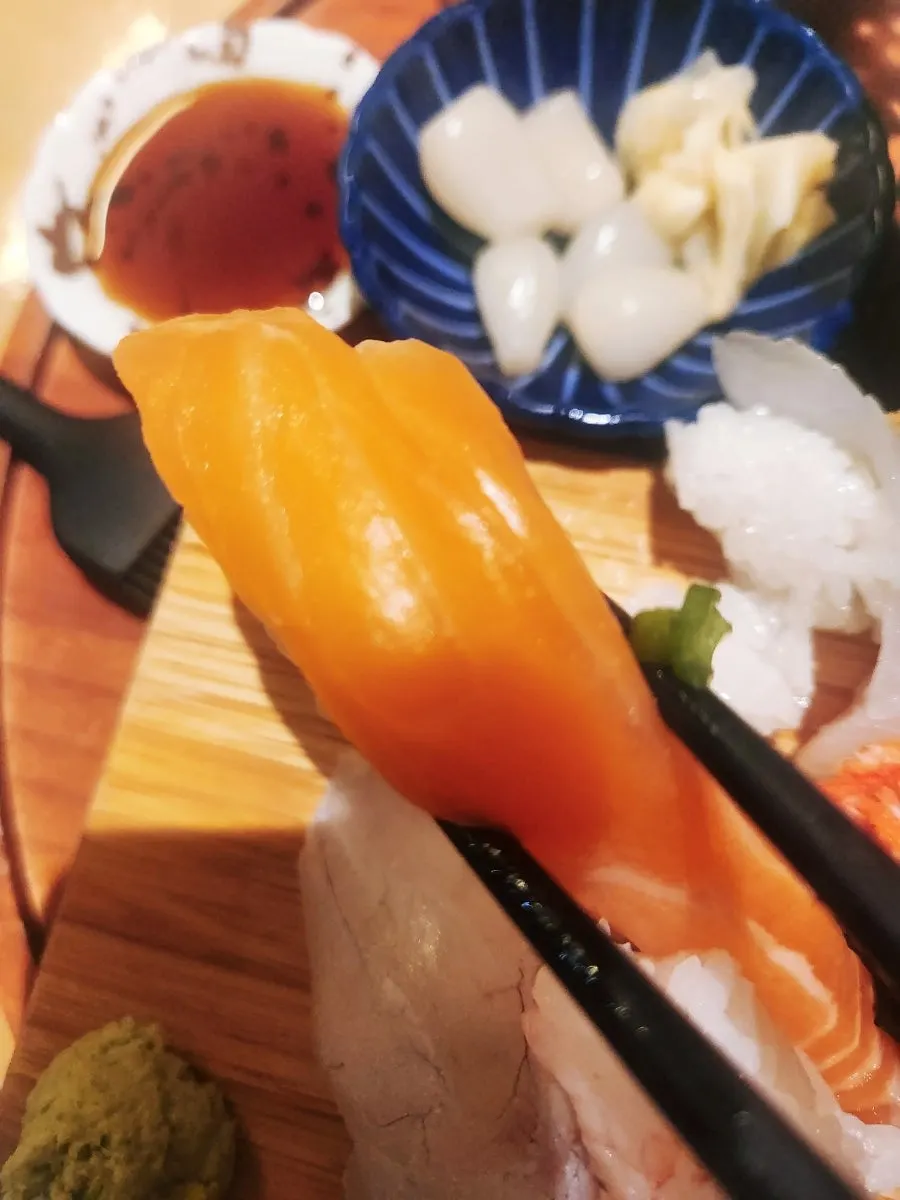 Close-up of salmon sushi