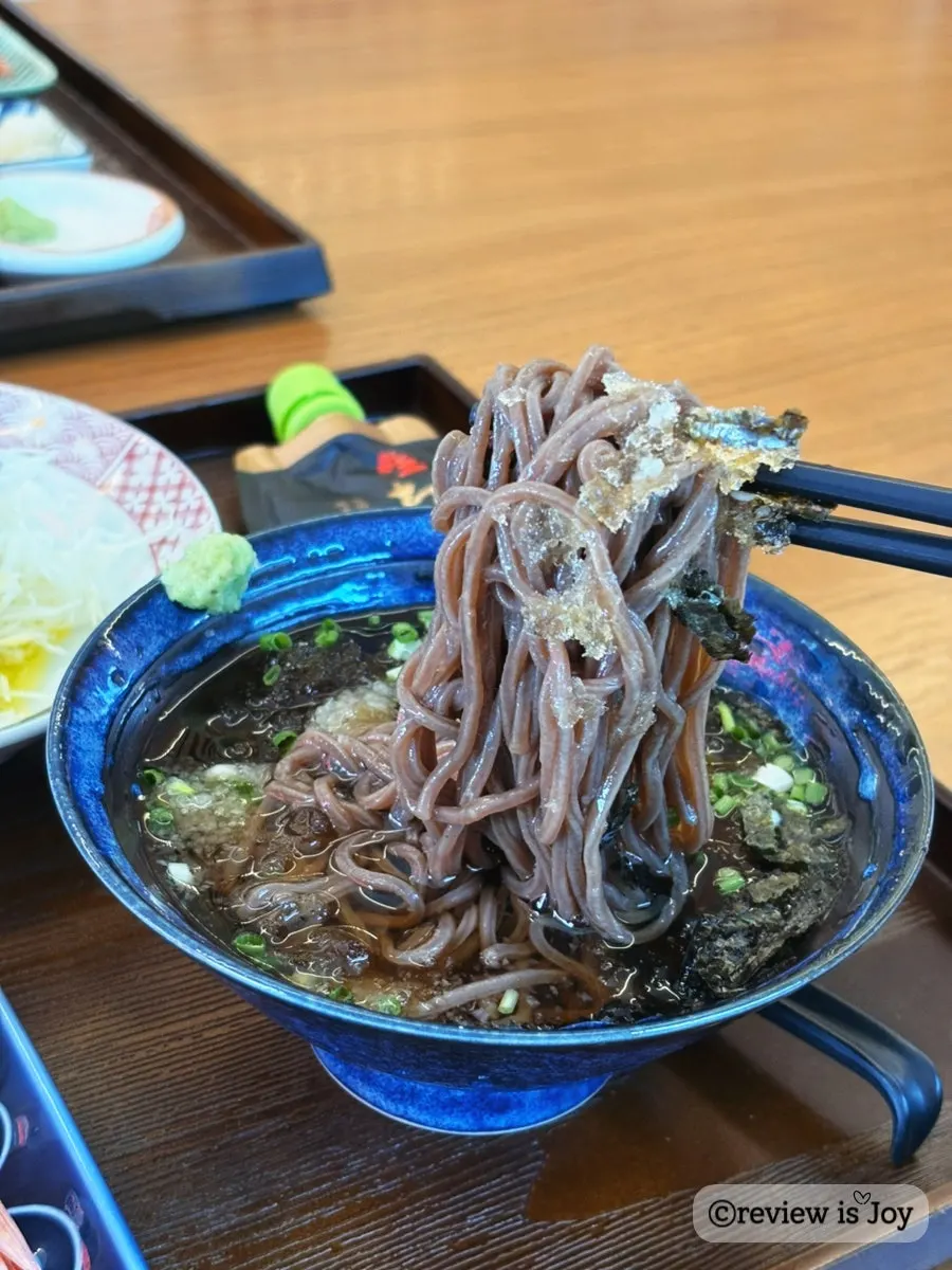 Close-up of cold soba noodles and broth