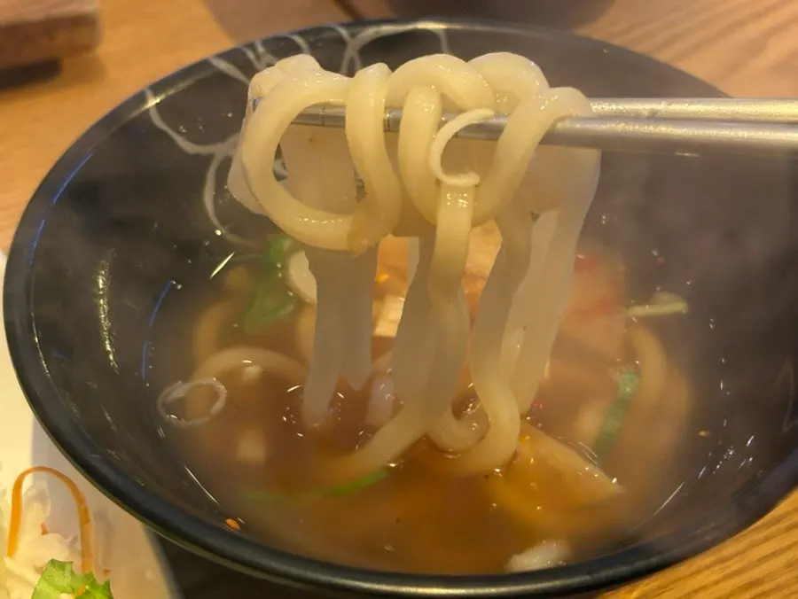 Udon noodles soaked in broth