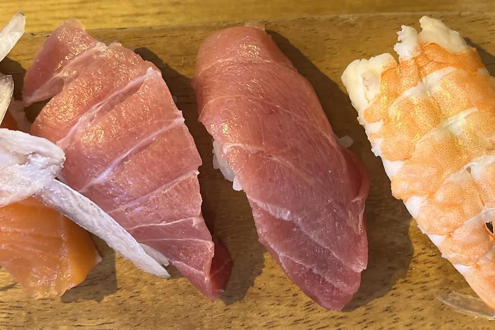 Plate of Special Sushi focused on fish pieces