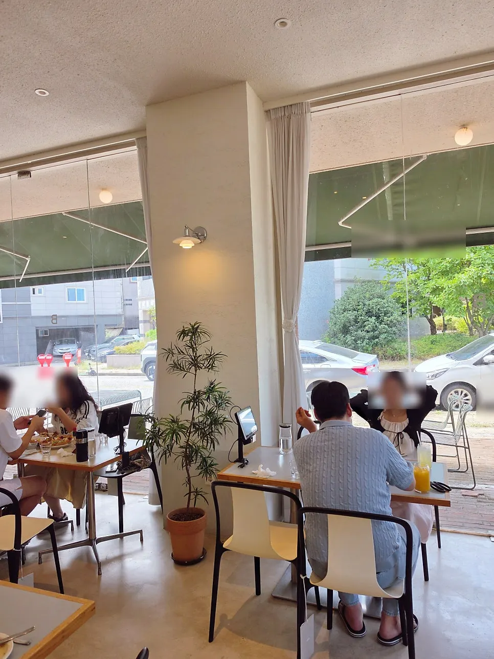 Indoor view of green trees