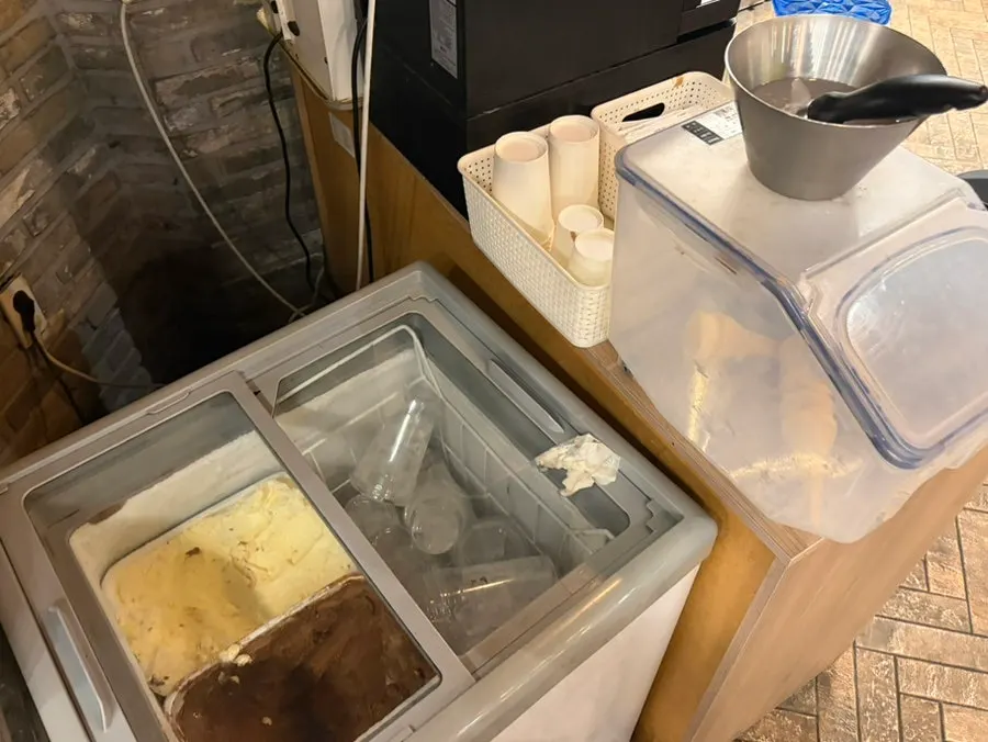 Dessert ice cream freezer