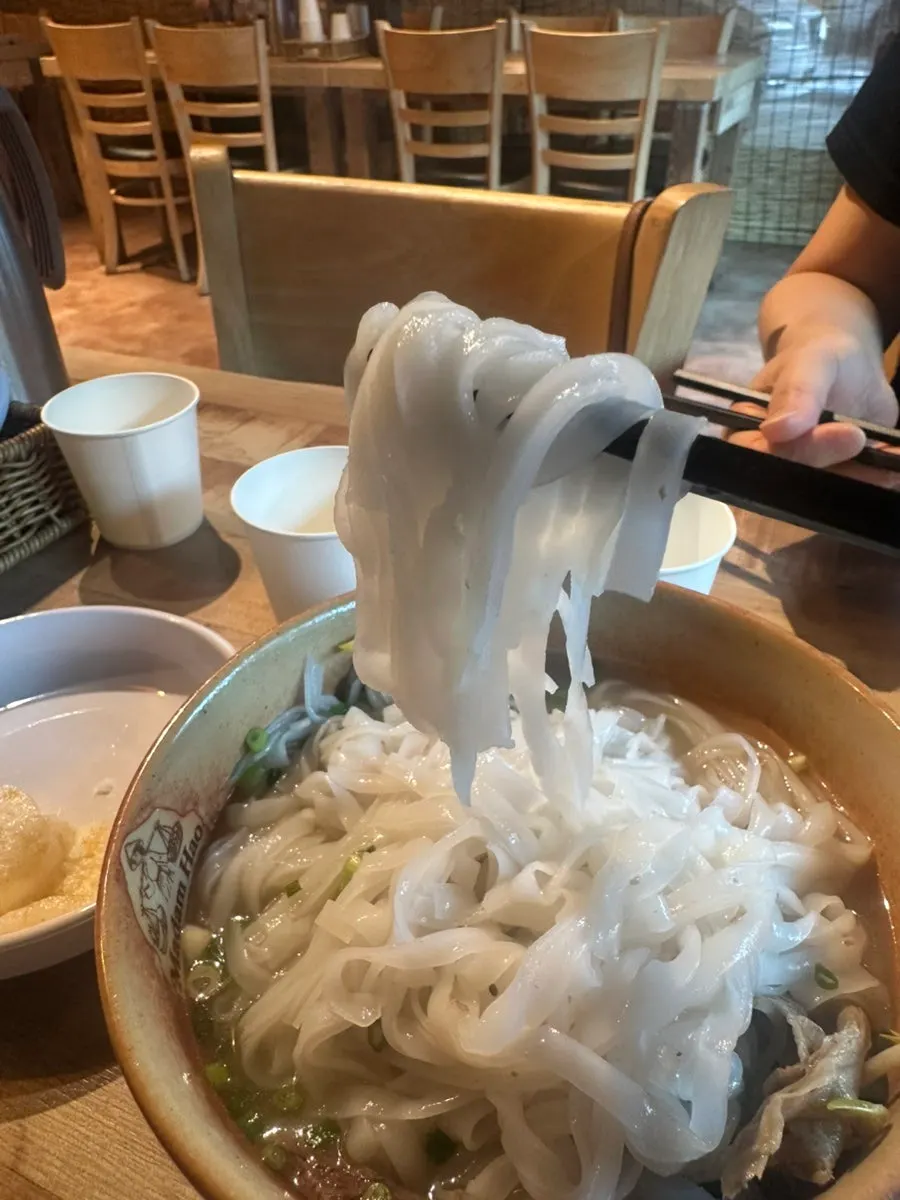 Madam Hao's beef brisket pho topped with green onion