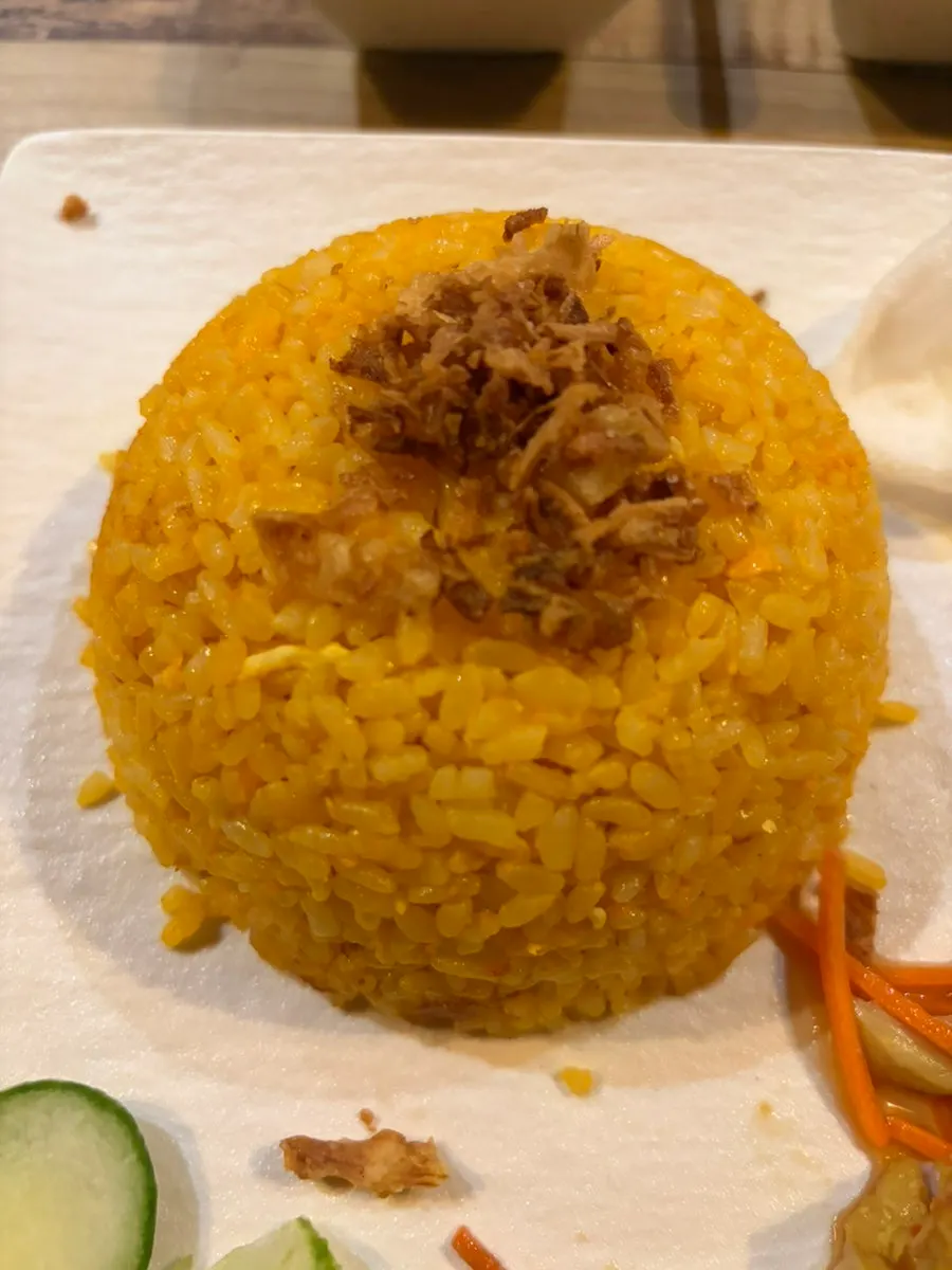 Spoonful of chicken mixed with rice