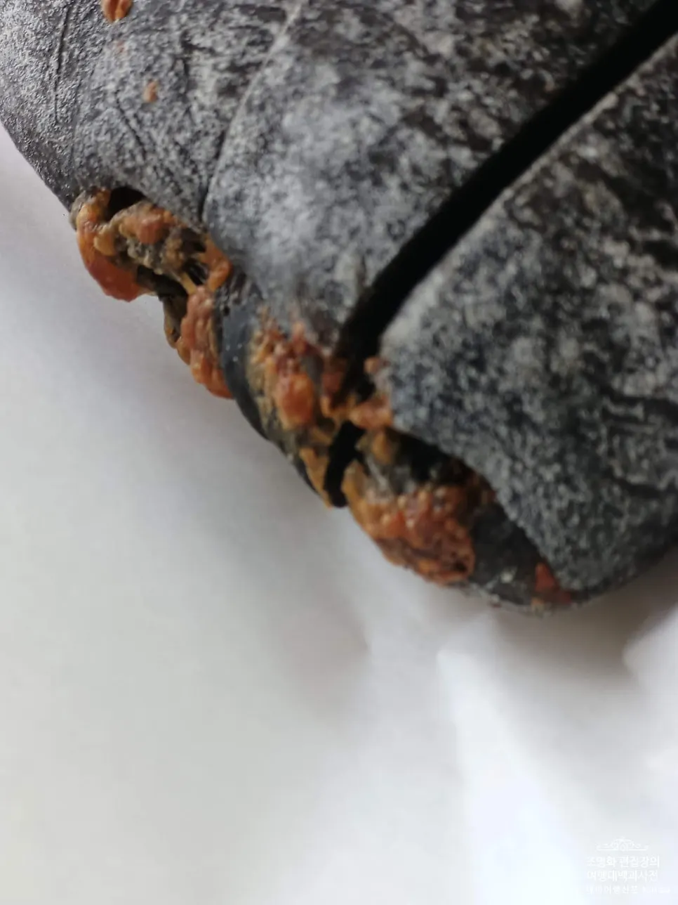 슬라이스 치아바타 사진