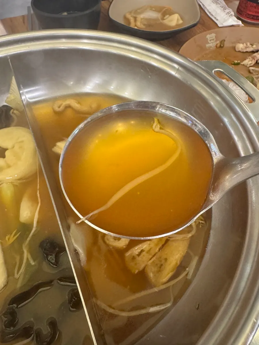 Shabu-shabu ingredients simmering