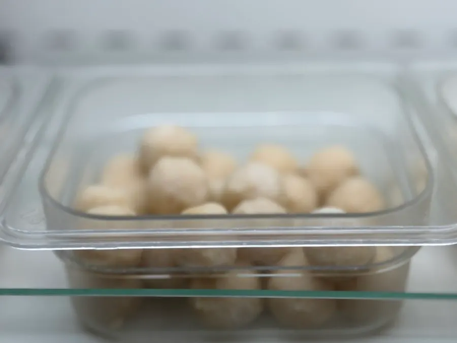 Various types of fish balls