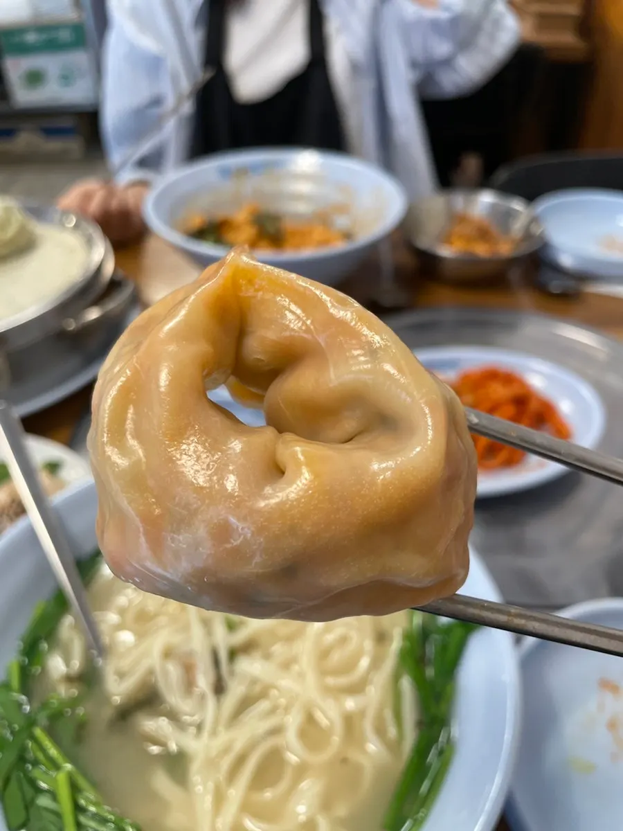 김치와 고기 만두 반반