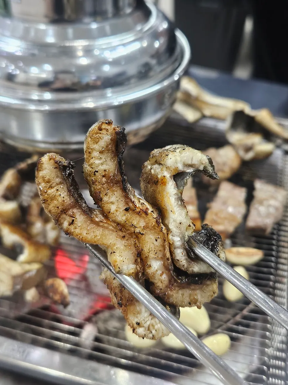 Thick grilled freshwater eel