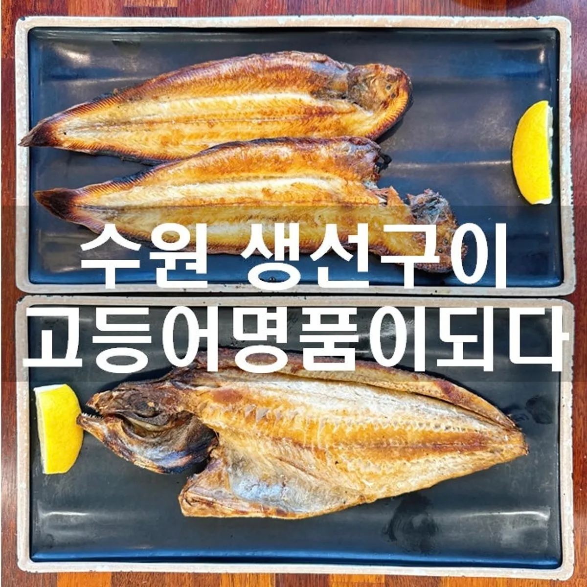 高等鱼名品成真水原店烤鱼代表照