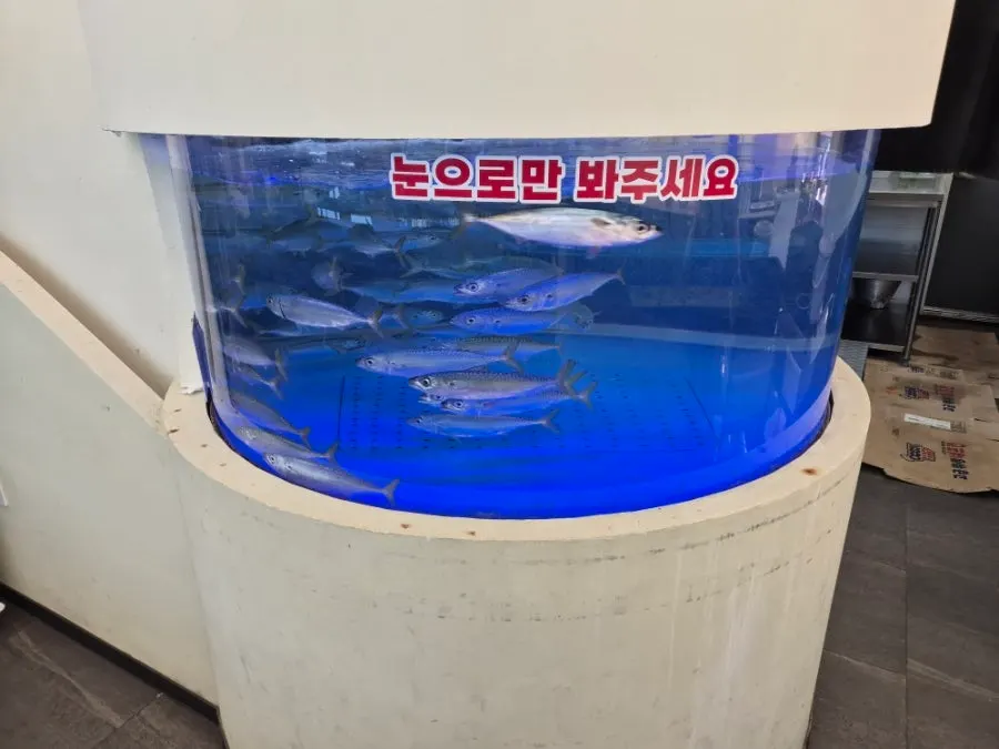 Fresh mackerel prepared at the restaurant